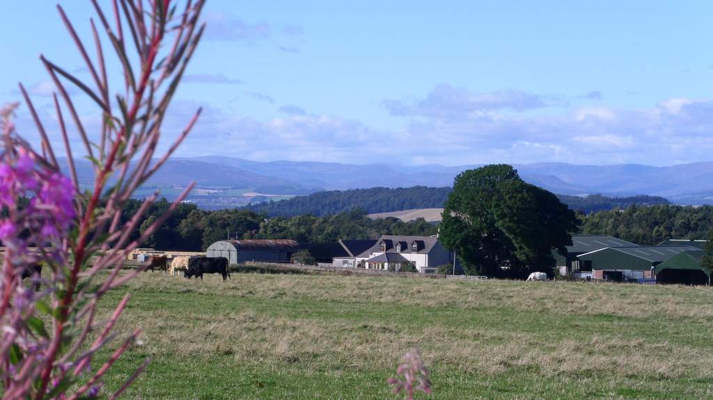 Newton Farm Holidays Scotland