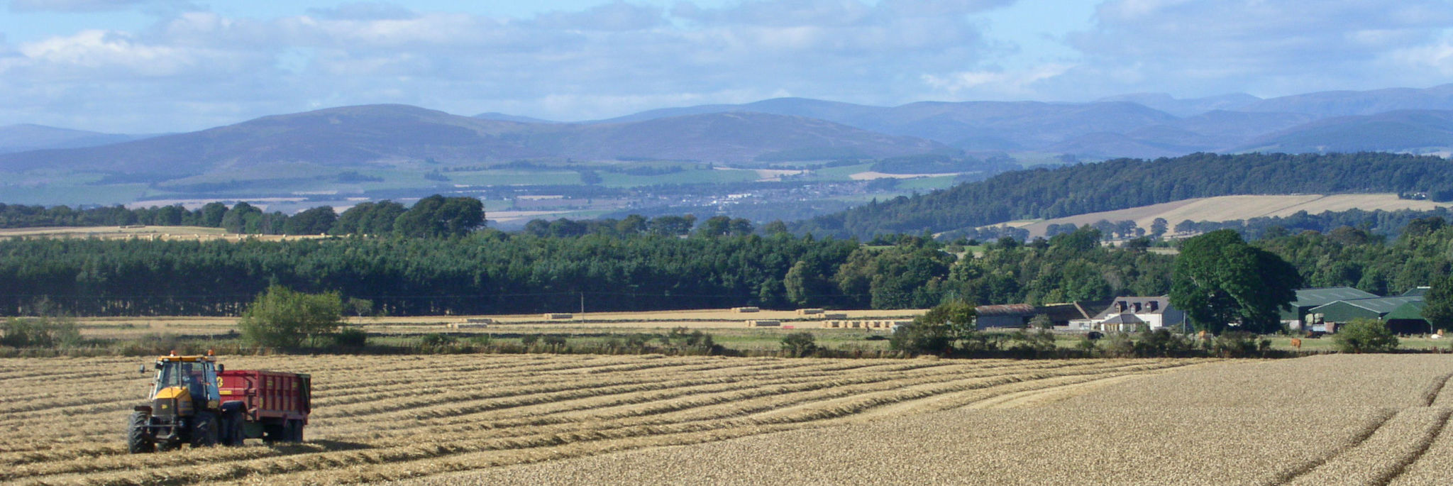 Newton Farm Holidays in Angus