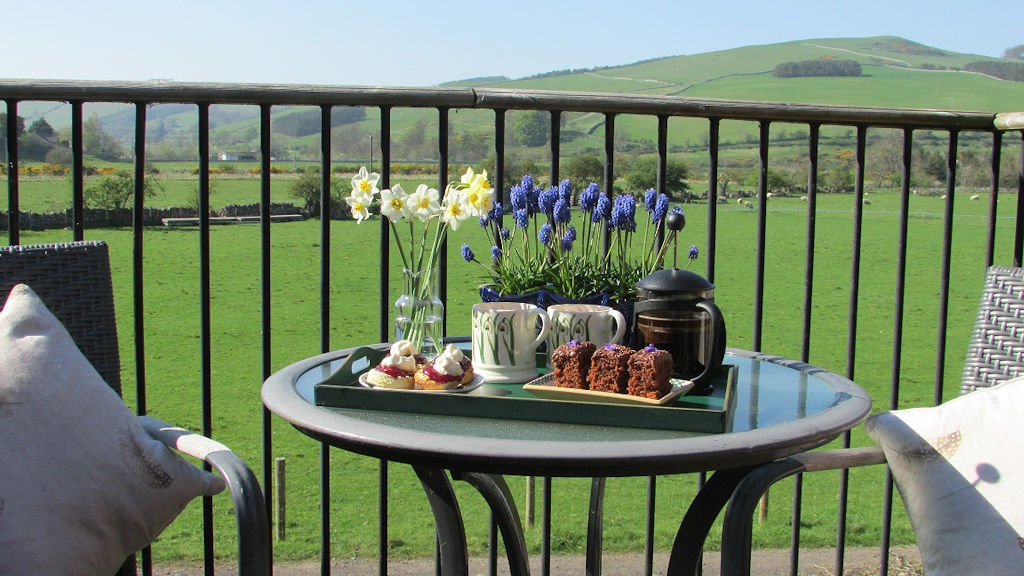 Tea and cakes at Mill House B&B, Scottish Borders