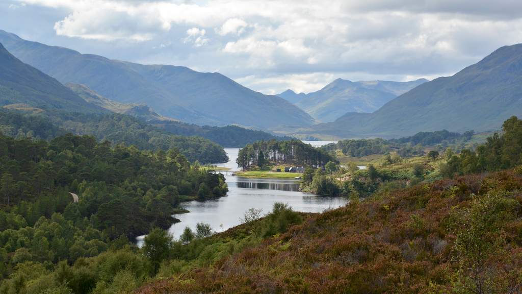 Glen Affric