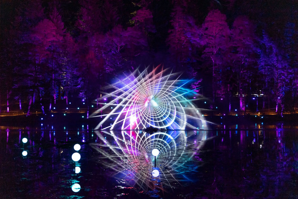 The Enchanted Forest in Perthshire