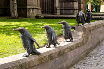 penguin statues in Dundee