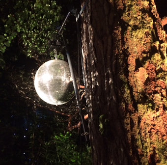 globe on tree in Enchanted Forest Pitlochry