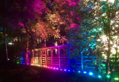 The Enchanted Forest in Pitlochry