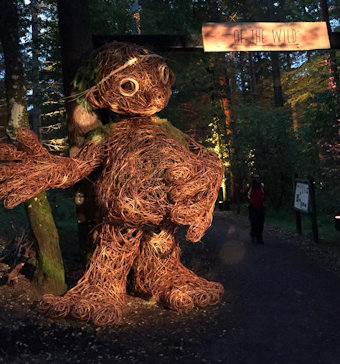 The Enchanted Forest in Pitlochry