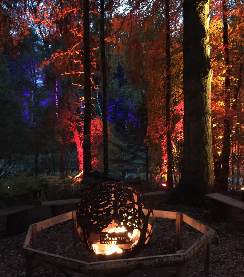 The Enchanted Forest, Pitlochry, Scotland