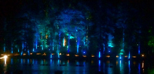The Enchanted Forest in Pitlochry
