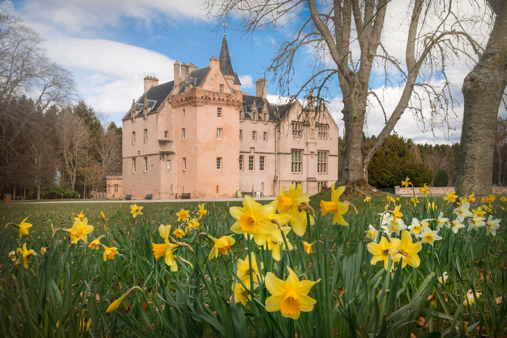 Brodie Castle and Estate with daffodils