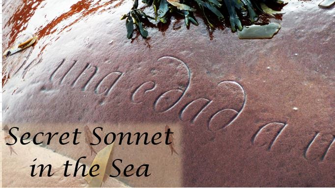 Secret Sonnet in the Sea