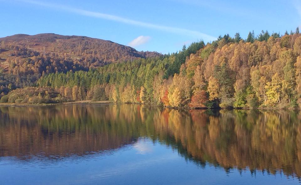 Autumn trees in Perthshire