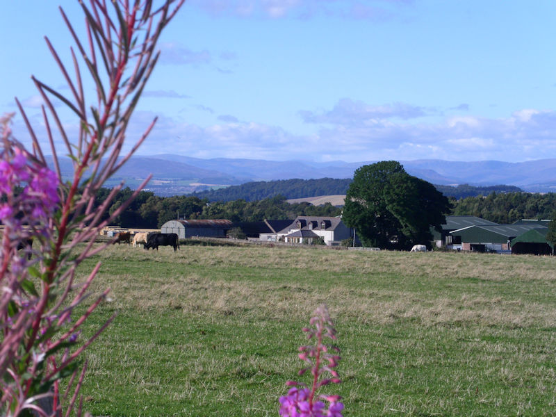 Newton Farm B&B near Forfar