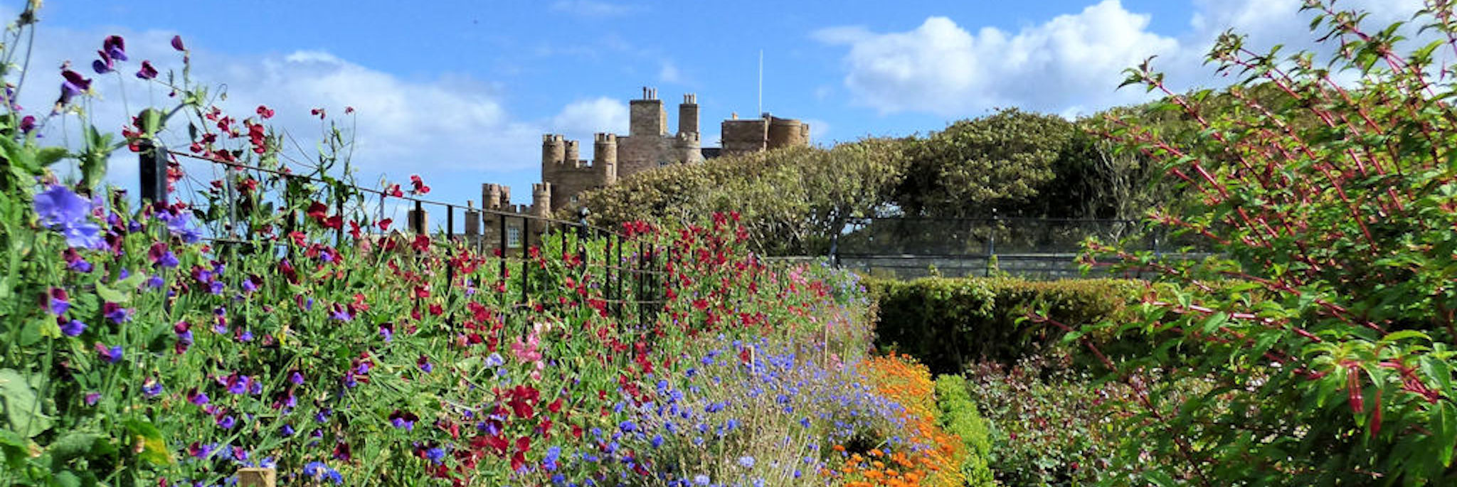 Castle of Mey garden, Caithness