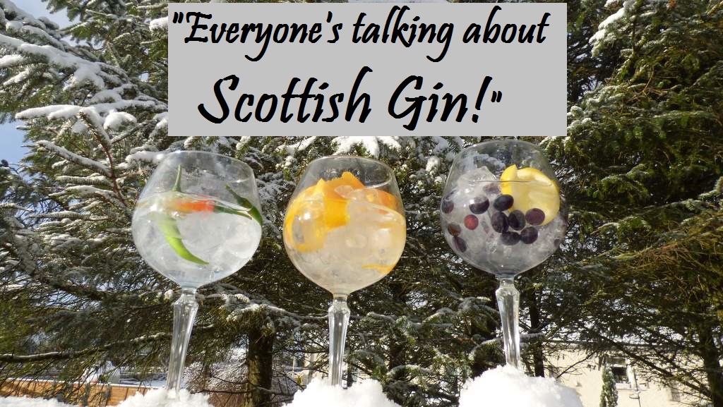 Scottish Gin Blog