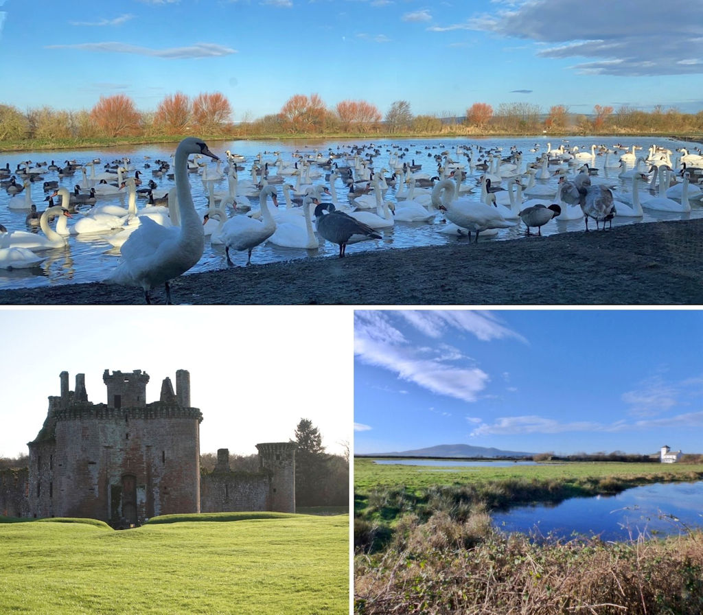 Caerlaverock Wetland Centre & Caerlaverock  Castle