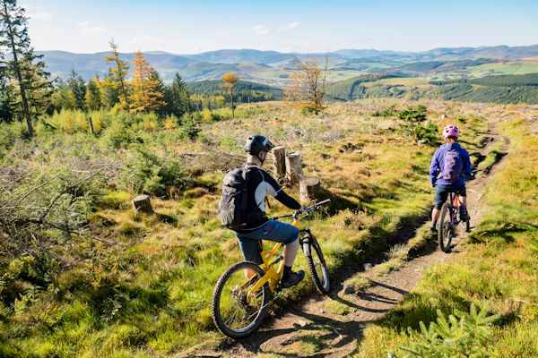 Mountain biking in the Glentress forest. Photo by David-Anderson / Visit Scotland