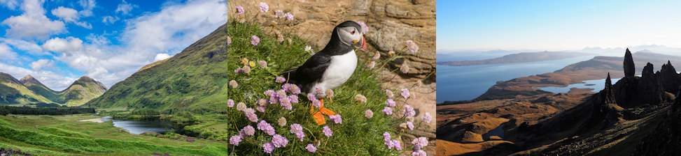 Glen Etive - Puffin - Isle of Skye